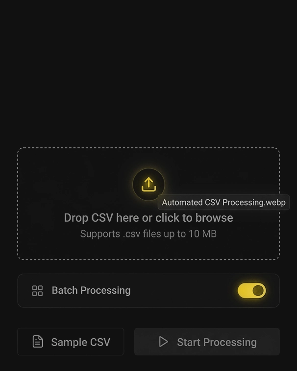 BB SEO Tool automated CSV processing of bulk URLs