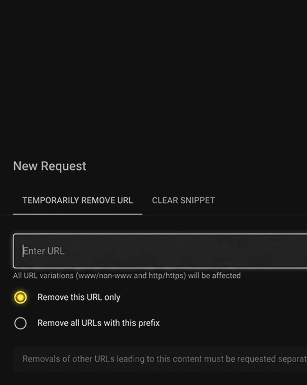 BB SEO Tool dual removal logic — exact URL and prefix-based removal
